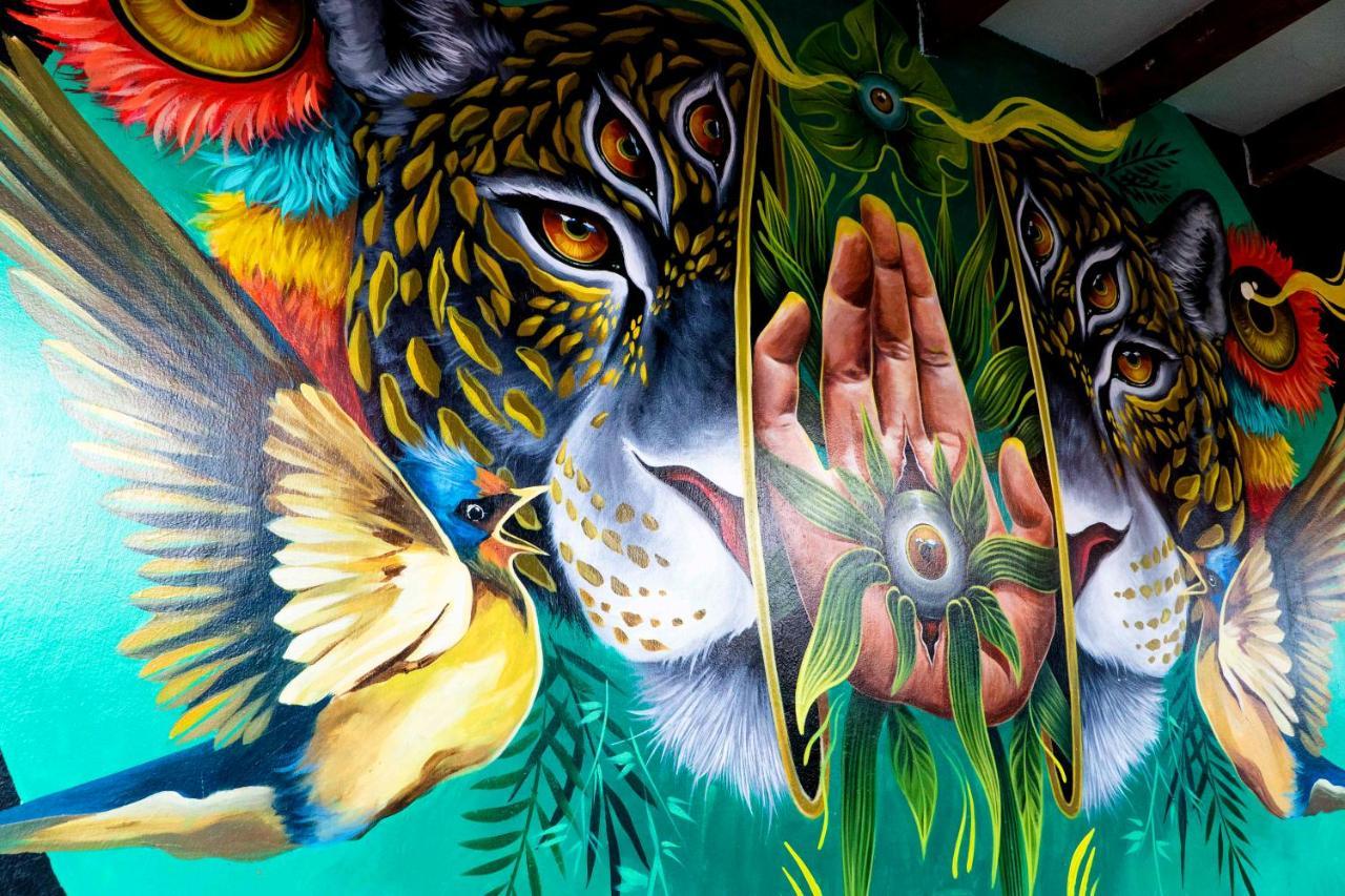Black Llama Hostel Miraflores Lima Eksteriør bilde