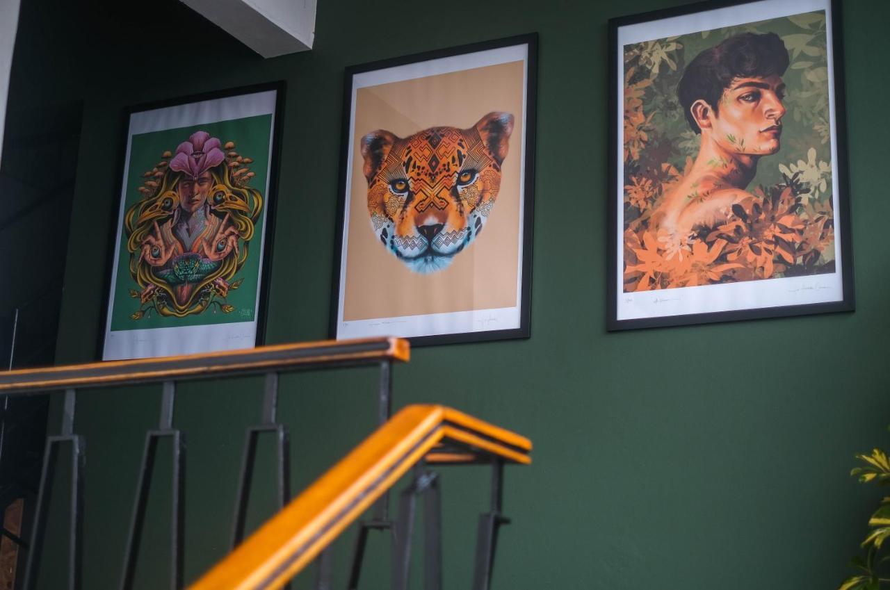 Black Llama Hostel Miraflores Lima Eksteriør bilde