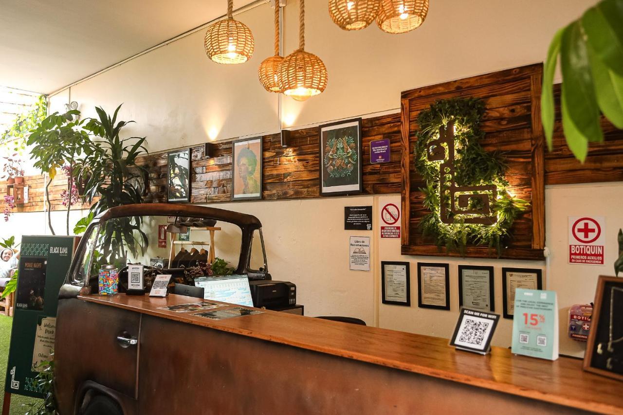 Black Llama Hostel Miraflores Lima Eksteriør bilde